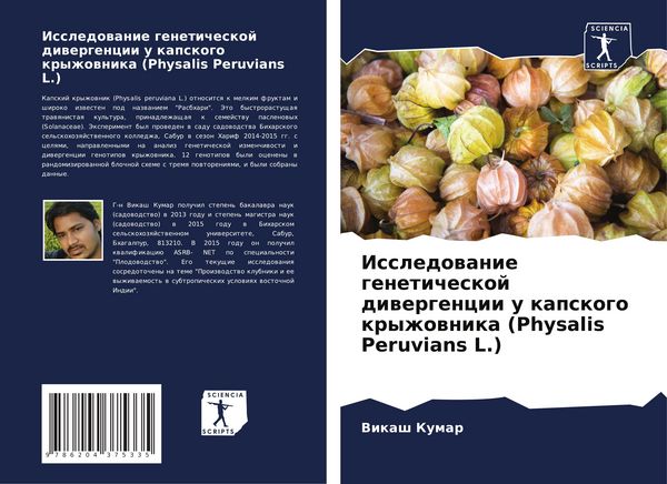 Produktbild: Issledowanie geneticheskoj diwergencii u kapskogo kryzhownika (Physalis Peruvians L.)