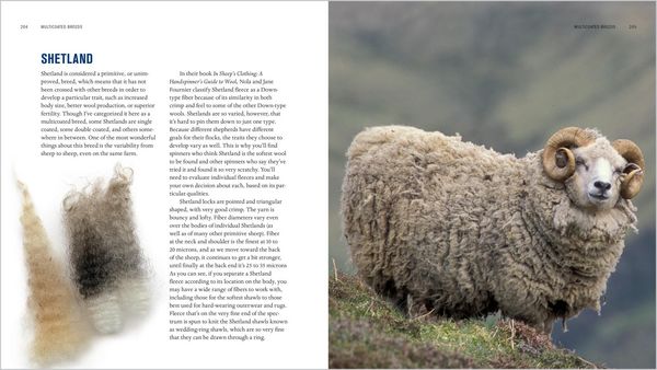 Produktbild: The Spinner's Book of Fleece