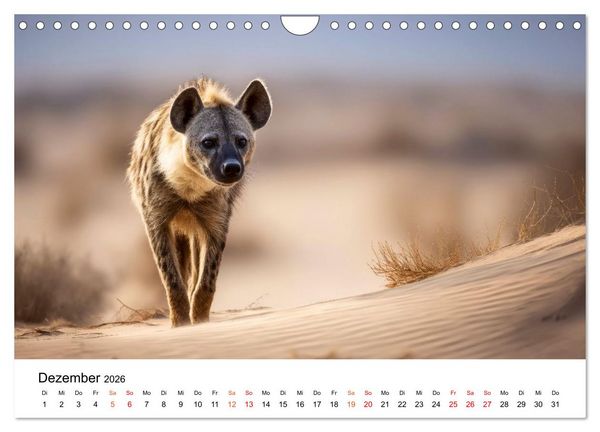 Produktbild: Hy&auml;nen - Afrikas geheimnisvolle J&auml;ger (Wandkalender 2026 DIN A4 quer), CALVENDO Monatskalender