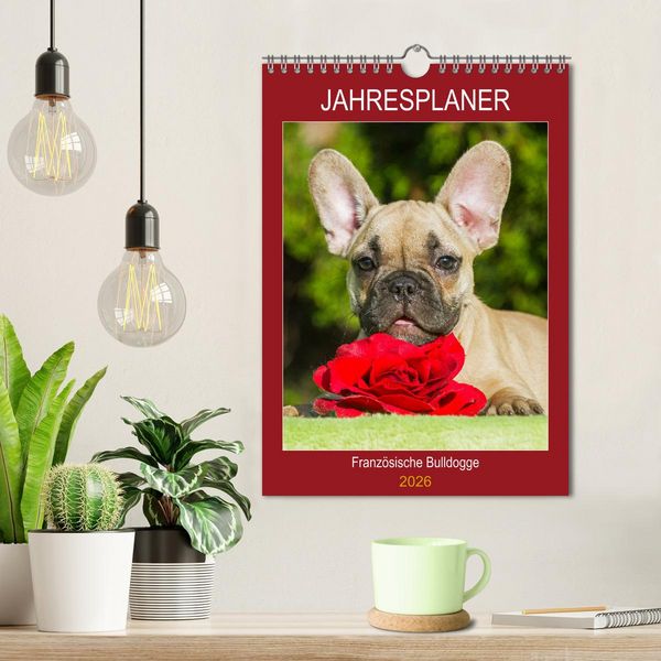 Produktbild: Jahresplaner Franz&ouml;sische Bulldogge (Wandkalender 2026 DIN A4 hoch), CALVENDO Monatskalender