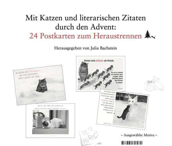 Produktbild: Der literarische Katzen-Adventskalender