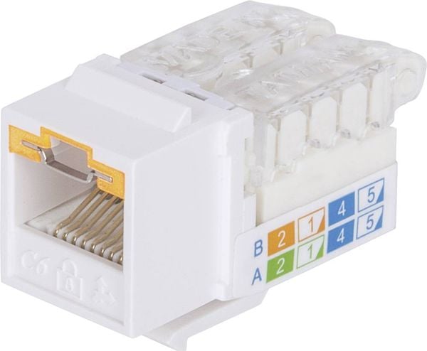 Intellinet abschließbare Cat6 Modularbuchse UTP Keystone werkzeuglos weiß RJ45-Einbaumodul Keystone CAT 3, CAT 4, CAT 5,