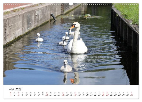 Produktbild: Boat and Bike S&uuml;dholland (Wandkalender 2026 DIN A2 quer), CALVENDO Monatskalender