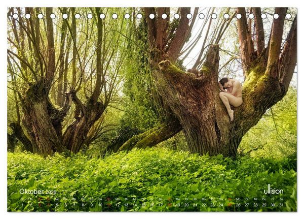 Produktbild: Lieblingsb&auml;ume - eins mit der Natur (Tischkalender 2026 DIN A5 quer), CALVENDO Monatskalender