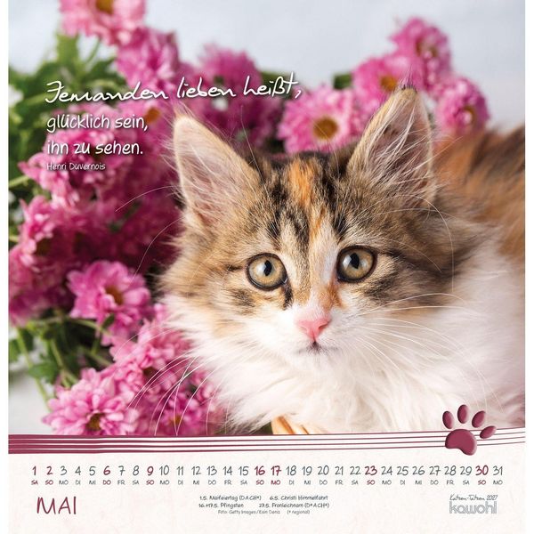 Produktbild: Katzen-Tatzen 2027