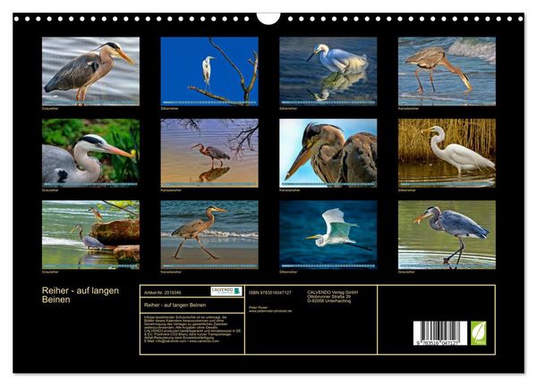 Produktbild: Reiher - auf langen Beinen (Wandkalender 2026 DIN A3 quer), CALVENDO Monatskalender