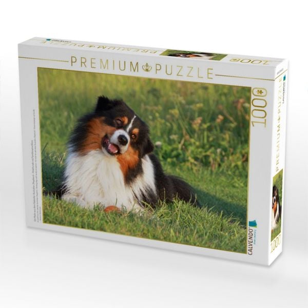 Produktbild: CALVENDO Puzzle Ein Motiv aus dem Kalender Australian Shepherd - H&uuml;tehunde mit Familienanschluss | 1000 Teile Lege-Gr&ouml;&szlig;e 64x48cm Foto-Puzzle f&uuml;r gl&uuml;ckliche Stunden