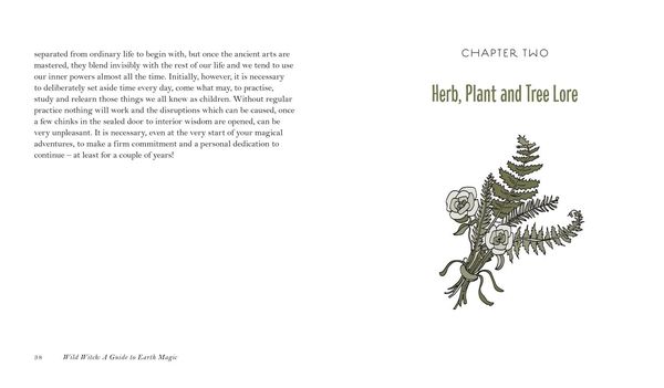 Produktbild: WILD WITCH HB