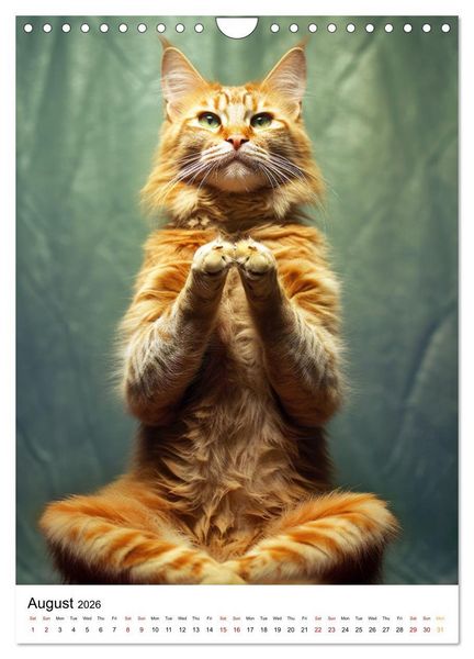 Produktbild: Meow Yoga (Wall Calendar 2026 DIN A4 portrait), CALVENDO 12 Month Wall Calendar