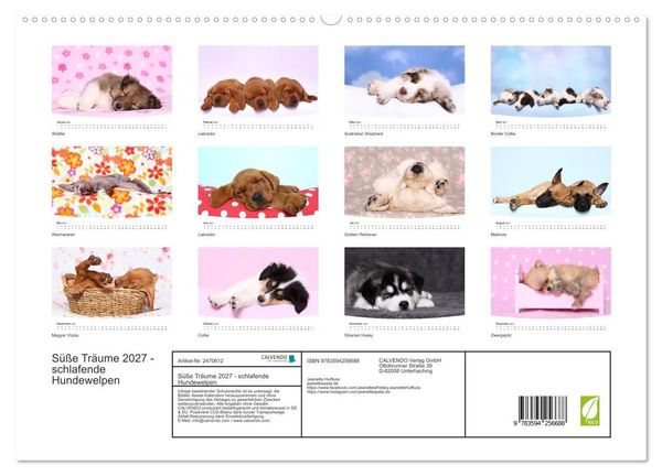 Produktbild: S&uuml;&szlig;e Tr&auml;ume 2027 - schlafende Hundewelpen (hochwertiger Premium Wandkalender 2027 DIN A2 quer), Kunstdruck in Hochglanz