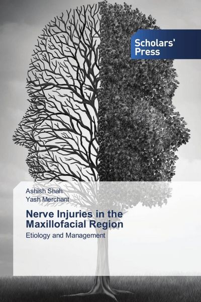 Produktbild: Nerve Injuries in the Maxillofacial Region