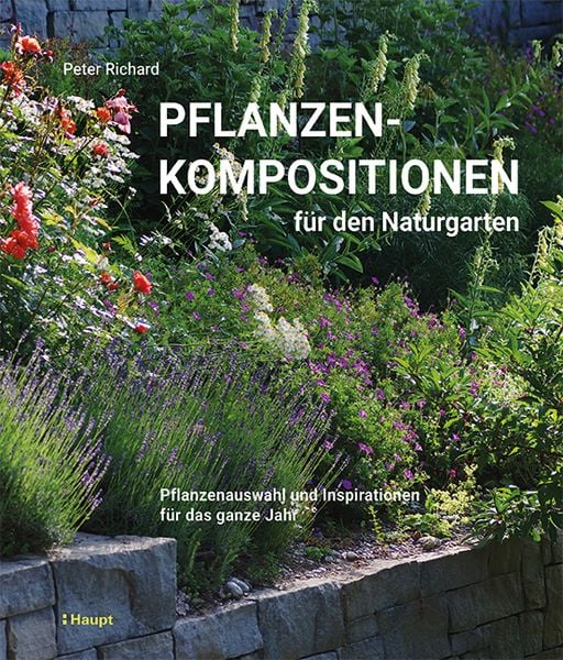Pflanzenkompositionen für den Naturgarten, Gebundene Ausgabe von Peter Richard, Haupt Verlag, 978-3-258-08196-0