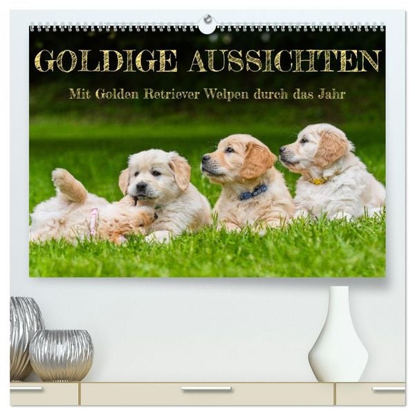 Goldige Aussichten - Mit Golden Retriever Welpen durch das Jahr (hochwertiger Premium Wandkalender 2026 DIN A2 quer), Kunstdruck in Hochglanz