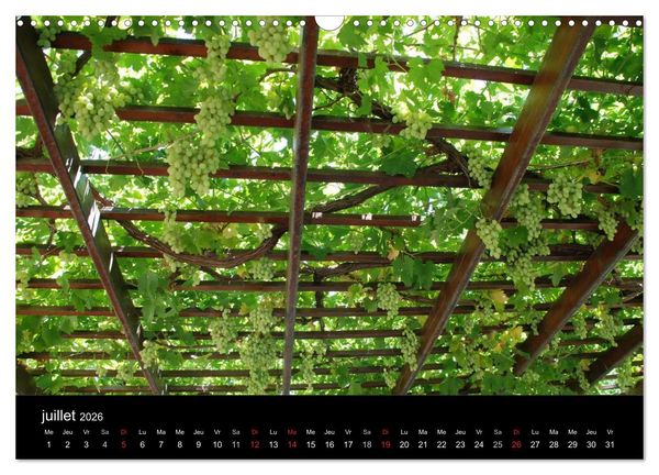 Produktbild: Cr&egrave;te, l'&icirc;le rebelle (Calendrier mural 2026 DIN A3 vertical), CALVENDO calendrier mensuel