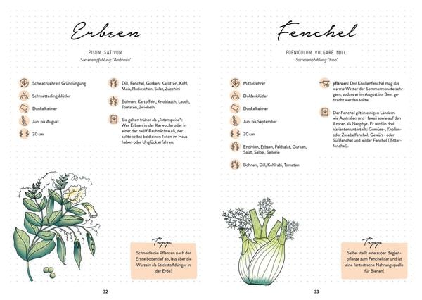 Produktbild: Mein Garten &ndash; Das illustrierte Gartenbuch