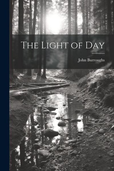 Produktbild: The Light of Day