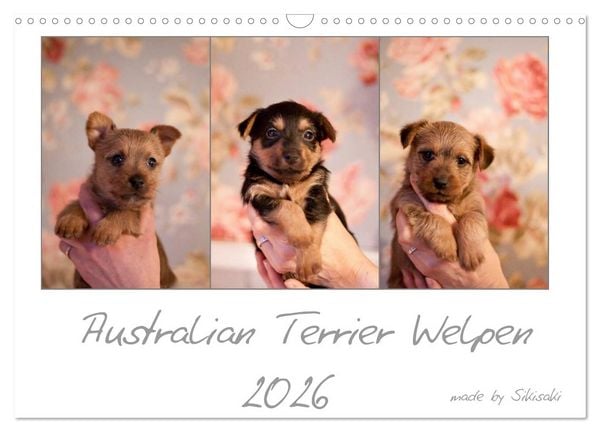 Produktbild: Australian Terrier Welpen (Wandkalender 2026 DIN A3 quer), CALVENDO Monatskalender