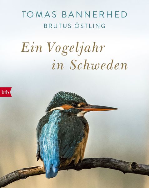 Produktbild: Ein Vogeljahr in Schweden