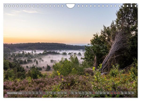 Produktbild: Die L&uuml;neburger Heide - In voller Bl&uuml;te (Wandkalender 2026 DIN A4 quer), CALVENDO Monatskalender