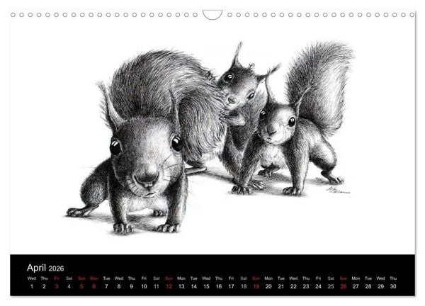 Produktbild: owls & friends 2026 (Wall Calendar 2026 DIN A3 landscape), CALVENDO 12 Month Wall Calendar
