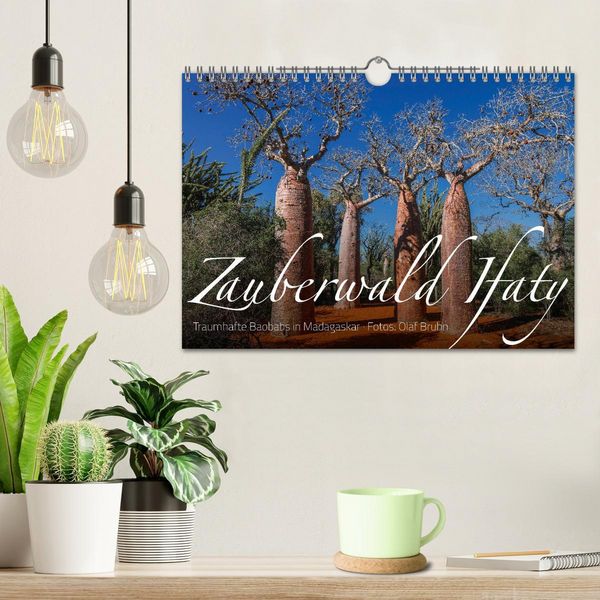 Produktbild: Zauberwald Ifaty &middot; Traumhafte Baobabs in Madagaskar (Wandkalender 2026 DIN A4 quer), CALVENDO Monatskalender