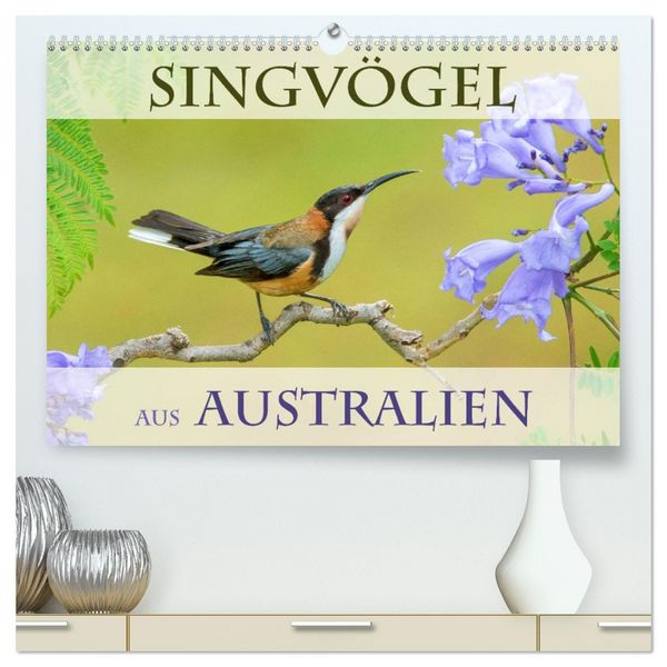 Produktbild: Singv&ouml;gel aus Australien (hochwertiger Premium Wandkalender 2026 DIN A2 quer), Kunstdruck in Hochglanz