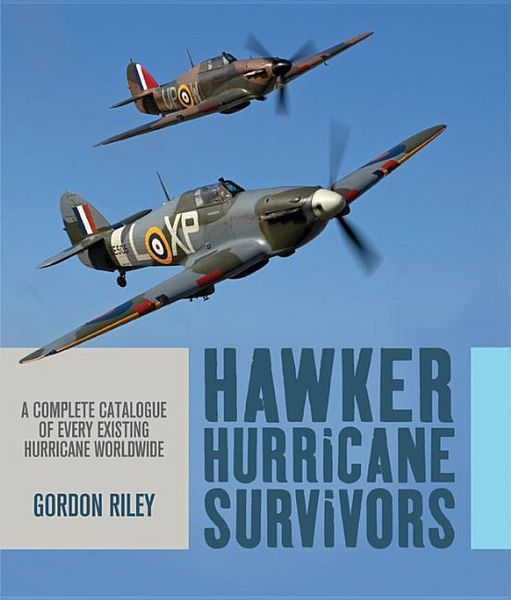 Produktbild: Hawker Hurricane Survivors