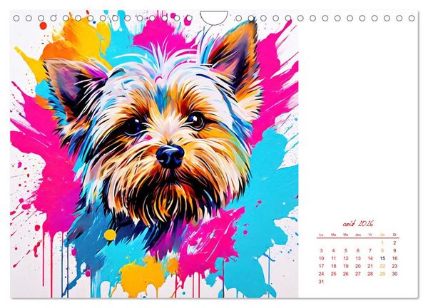 Produktbild: Show canin (Calendrier mural 2026 DIN A4 vertical), CALVENDO calendrier mensuel