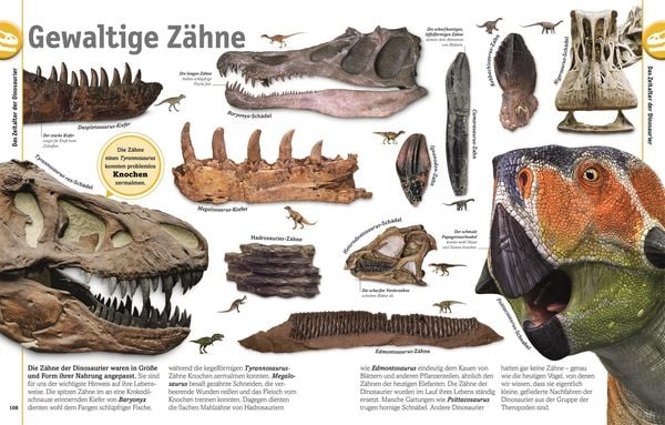 Produktbild: Unsere Welt in 1000 Bildern. Dinosaurier