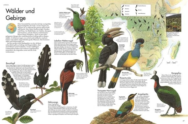 Produktbild: Atlas der V&ouml;gel