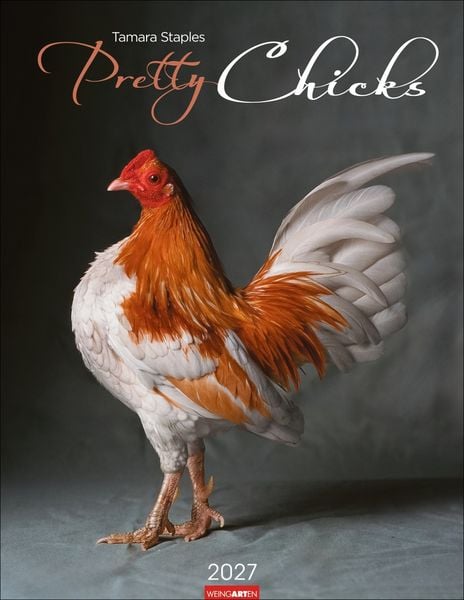 Produktbild: Pretty Chicks Kalender 2027