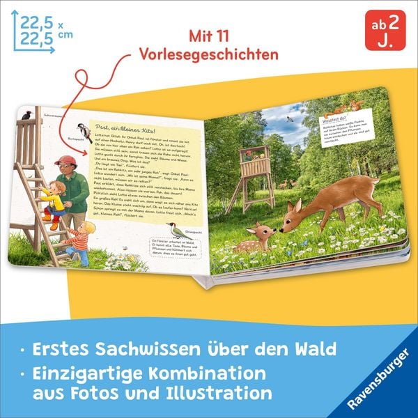 Produktbild: Lotta liebt den Wald