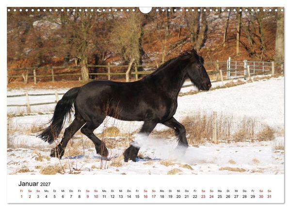 Produktbild: Friesen - Kraft und Eleganz (Wandkalender 2027 DIN A3 quer), CALVENDO Monatskalender