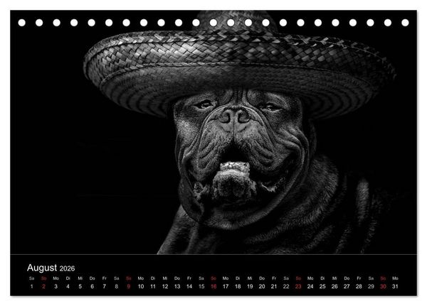 Produktbild: H&uuml;tehunde (Tischkalender 2026 DIN A5 quer), CALVENDO Monatskalender