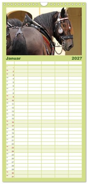 Produktbild: Familienplaner 2027 - Schwere Pferde mit 5 Spalten (Wandkalender, 21 x 45 cm) CALVENDO