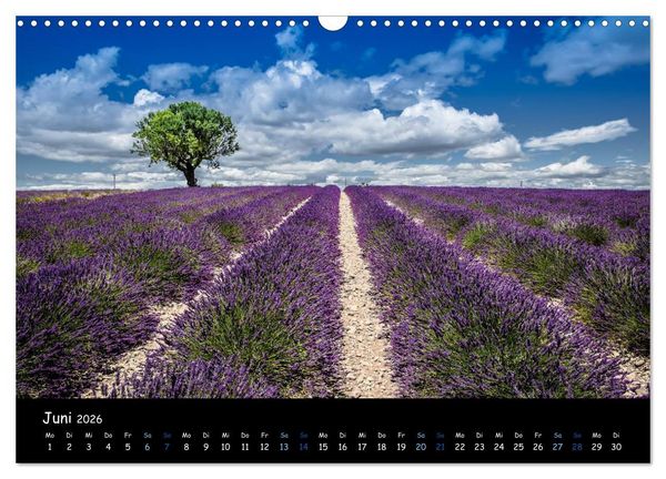 Produktbild: Provence - Lavendelbl&uuml;te (Wandkalender 2026 DIN A3 quer), CALVENDO Monatskalender