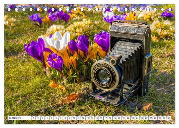 Produktbild: Alte Fotoapparate, Augenzeugen der Zeit (Tischkalender 2026 DIN A5 quer), CALVENDO Monatskalender