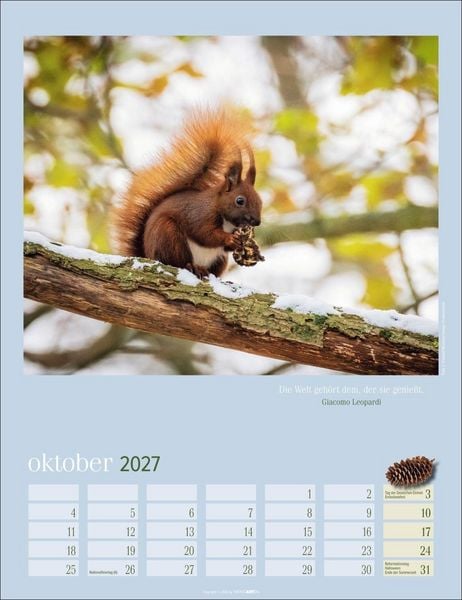 Produktbild: Eichh&ouml;rnchen Kalender 2027