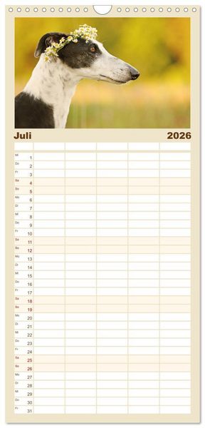 Produktbild: Familienplaner 2026 - Zauberhafte Windhunde mit 5 Spalten (Wandkalender, 21 x 45 cm) CALVENDO