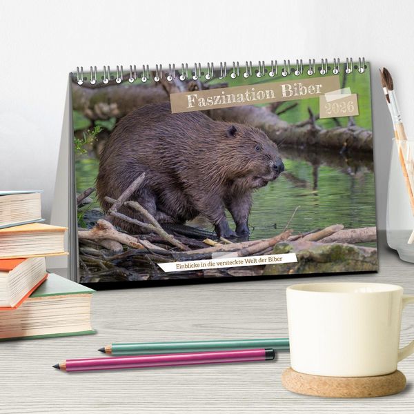 Produktbild: Faszination Biber (Tischkalender 2026 DIN A5 quer), CALVENDO Monatskalender