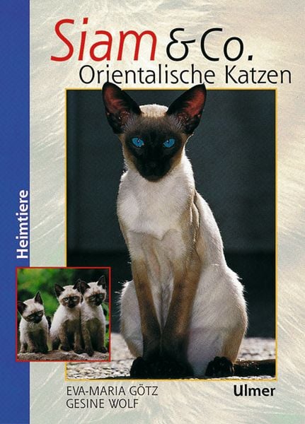 Produktbild: Siam & Co. Orientalische Katzen
