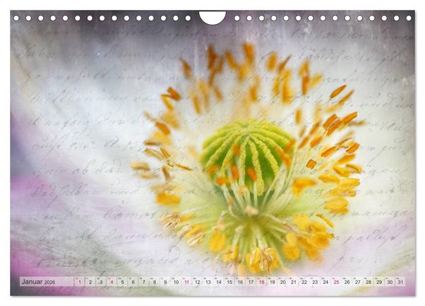 Produktbild: Vintage Nature - Romantische Naturaufnahmen (Wandkalender 2026 DIN A4 quer), CALVENDO Monatskalender