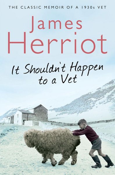 Produktbild: It Shouldn''t Happen to a Vet