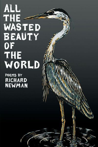 Produktbild: All the Wasted Beauty of the World - Poems