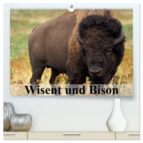 Produktbild: Wisent und Bison (hochwertiger Premium Wandkalender 2026 DIN A2 quer), Kunstdruck in Hochglanz