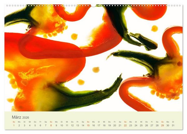 Produktbild: Lichtzauber (hochwertiger Premium Wandkalender 2026 DIN A2 quer), Kunstdruck in Hochglanz