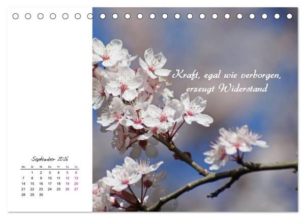 Produktbild: Innehalten in der Natur ... mit Weisheiten und Sprichworten der Indianer (Tischkalender 2026 DIN A5 quer), CALVENDO Monatskalender