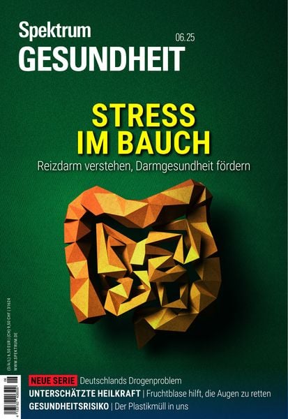 Produktbild: Spektrum Gesundheit 6/2025 - Stress im Bauch