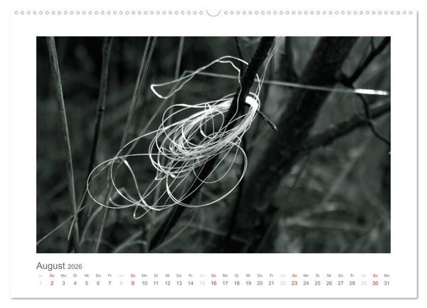 Produktbild: einfach schwarz-wei&szlig; (Wandkalender 2026 DIN A2 quer), CALVENDO Monatskalender