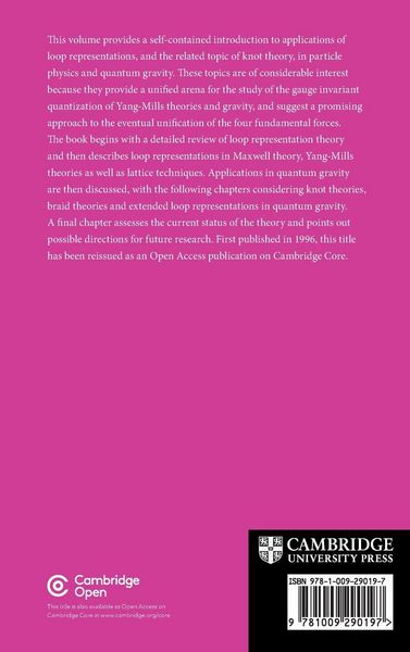 Produktbild: Loops, Knots, Gauge Theories and Quantum Gravity